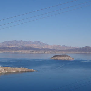 Meet your Posher, Dillon